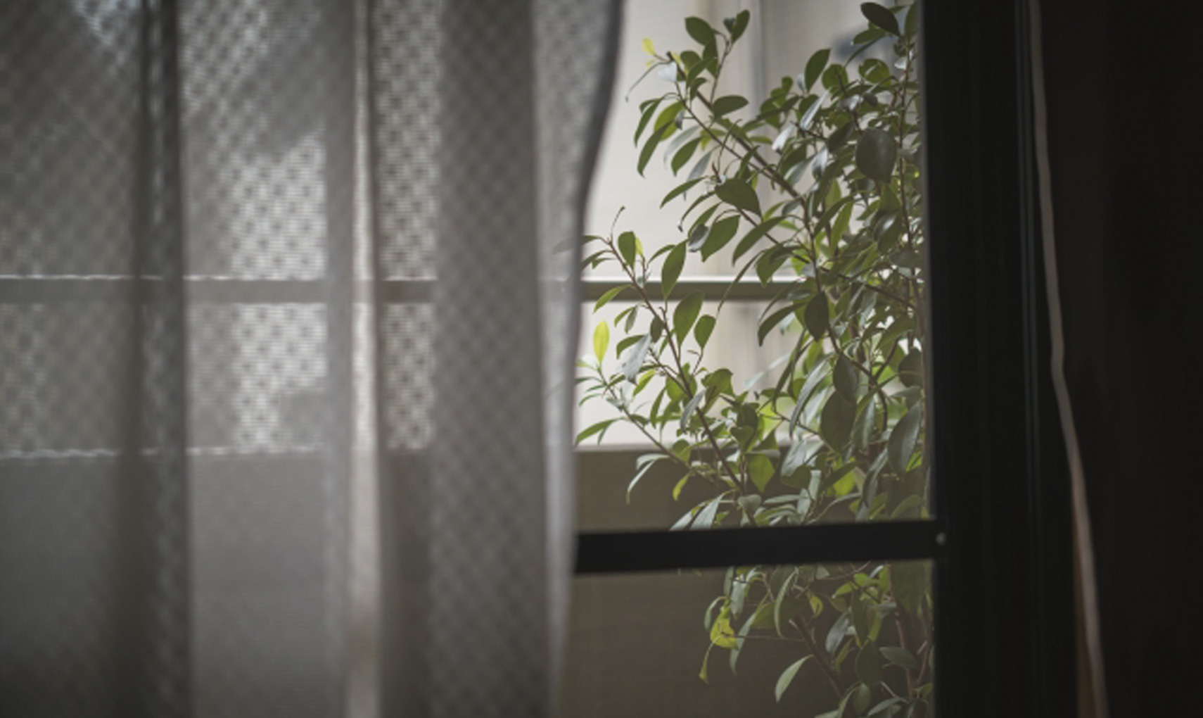 網戸のイメージ